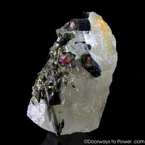 Green & Pink Tourmaline in Quartz Crystal Specimen A +++