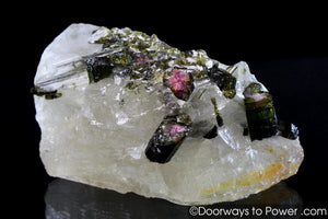 Green & Pink Tourmaline in Quartz Crystal Specimen A +++