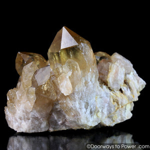 Citrine Lightbrary Kundalini Quartz Starbrary Dow Crystal Cluster