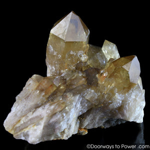Citrine Lightbrary Kundalini Quartz Starbrary Dow Crystal Cluster