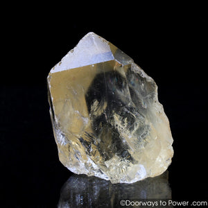 Citrine Quartz Master Record Keeper Crystal Congo