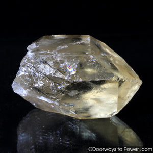 Citrine Quartz Master Record Keeper Crystal Congo
