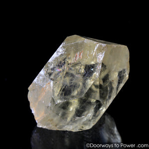 Citrine Quartz Master Record Keeper Crystal Congo