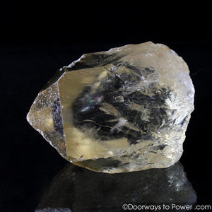 Citrine Quartz Master Record Keeper Crystal Congo