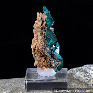 Amazing Dioptase Mineral Specimen Twin 'Museum Quality'