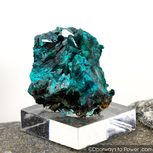 Beautiful Dioptase Mineral Specimen Kazakhstan A +++
