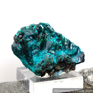 Beautiful Dioptase Mineral Specimen Kazakhstan A +++