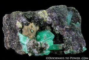 Green EMERALD Crystals on Smoky Quartz Specimen