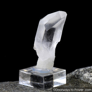 Quartz Scepter Specimen w/ Channeling Time Link Crystal 'High Priest'