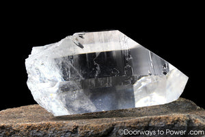 Himalayan Nirvana Quartz Dow Crystal Point Pleiadian Starbrary Record Keeper