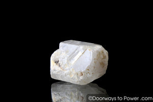 Burmese Phenacite Pleiadian Starbrary Crystal Synergy 12 Stone