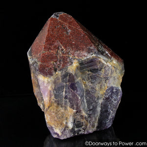Auralite 23 Altar Stone Record Keeper Crystal w/ Red Tip