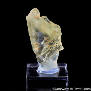 Royal Yellow SANIDINE Specimen Abundance Crystal RARE
