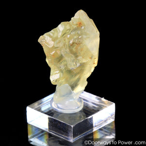 Royal Yellow SANIDINE Specimen Abundance Crystal RARE
