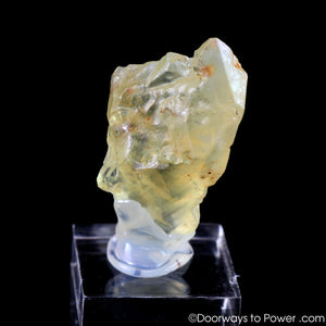 Royal Yellow SANIDINE Specimen Abundance Crystal RARE