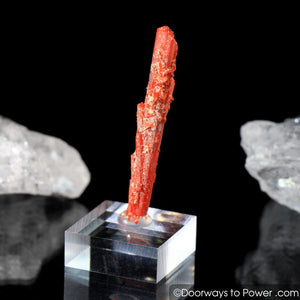 Amazing Crocoite Twin Crystal Specimen Tasmania A +++