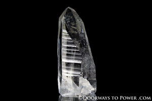 Lemurian Seed Manifestation Crystal w/ Pleiadian Starbrary Record Keeper Time Link