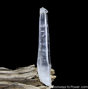 Diamantina Laser Wand Star Seed Quartz Pleiadian Starbrary Crystal 7.5"