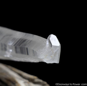 Diamantina Laser Wand Star Seed Quartz Pleiadian Starbrary Crystal 7.5"
