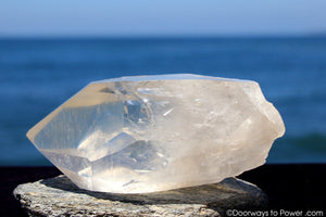 Lemurian Seed Quartz Crystal 'OLDER WORLDS' w/ Pleiadian Starbrary Channeling Time Link