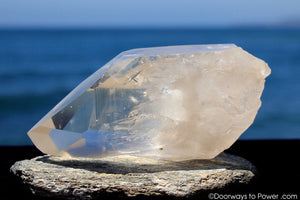 Lemurian Seed Quartz Crystal 'OLDER WORLDS' w/ Pleiadian Starbrary Channeling Time Link
