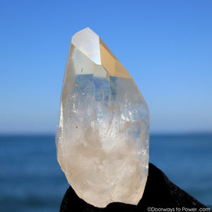 Lemurian Seed Quartz Crystal 'OLDER WORLDS' w/ Pleiadian Starbrary Channeling Time Link