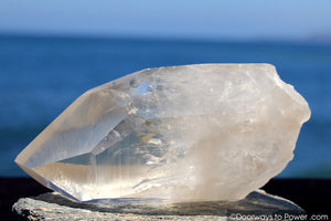 Lemurian Seed Quartz Crystal 'OLDER WORLDS' w/ Pleiadian Starbrary Channeling Time Link
