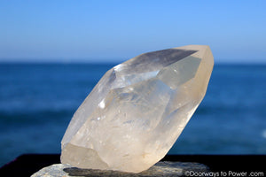 Lemurian Seed Quartz Crystal 'OLDER WORLDS' w/ Pleiadian Starbrary Channeling Time Link