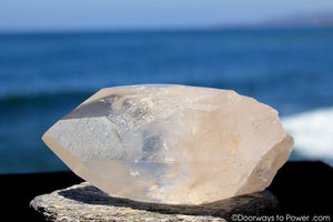 Lemurian Seed Quartz Crystal 'OLDER WORLDS' w/ Pleiadian Starbrary Channeling Time Link