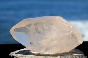 Lemurian Seed Quartz Crystal 'OLDER WORLDS' w/ Pleiadian Starbrary Channeling Time Link