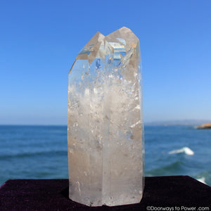 Rare 9.5" Lemurian Seed Tantric Twin Flame 'SACRED UNION' Pleiadian Starbrary Dow Crystal