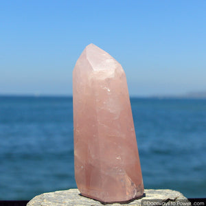 Elegant 6" John of God Rose Quartz Master Dow Casa Crystal Point