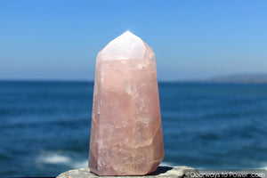 Elegant 6" John of God Rose Quartz Master Dow Casa Crystal Point