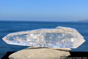 12" Double Terminated Lemurian Quartz 'Being of Light' Twin Dow Dolphin Crystal
