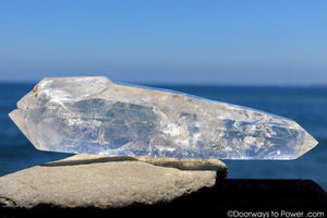 12" Double Terminated Lemurian Quartz 'Being of Light' Twin Dow Dolphin Crystal