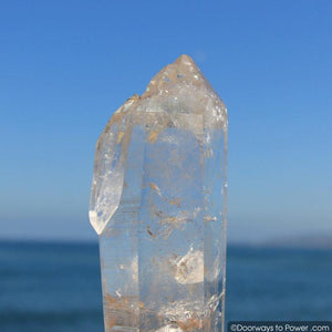 12" Double Terminated Lemurian Quartz 'Being of Light' Twin Dow Dolphin Crystal