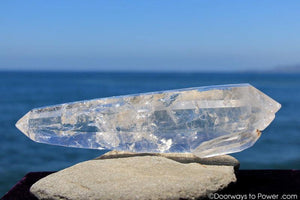 12" Double Terminated Lemurian Quartz 'Being of Light' Twin Dow Dolphin Crystal