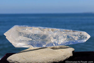 12" Double Terminated Lemurian Quartz 'Being of Light' Twin Dow Dolphin Crystal