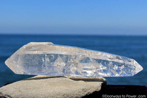 12" Double Terminated Lemurian Quartz 'Being of Light' Twin Dow Dolphin Crystal