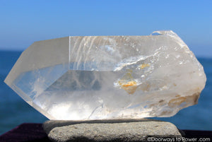 reserved for MT - XL 10.25" Lemurian Seed Quartz Pleiadian Starbrary Record Keeper Phantom Crystal Point