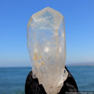 reserved for MT - XL 10.25" Lemurian Seed Quartz Pleiadian Starbrary Record Keeper Phantom Crystal Point