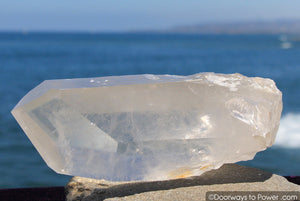 reserved for MT - XL 10.25" Lemurian Seed Quartz Pleiadian Starbrary Record Keeper Phantom Crystal Point