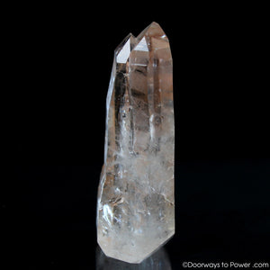 Pink Lemurian Seed Quartz Tantic Twin Record Keeper Crystal Point