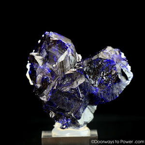 Royal Blue Azurite Heart Mineral Specimen Rosette Congo A +++ Museum Quality