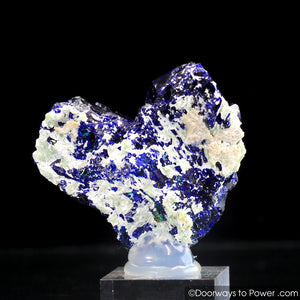 Royal Blue Azurite Heart Mineral Specimen Rosette Congo A +++ Museum Quality