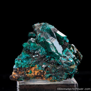 Dioptase Mineral Specimen A ++ 'Collectors Quality'