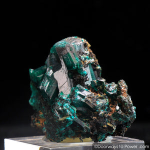 Dioptase Mineral Specimen A ++ 'Collectors Quality'
