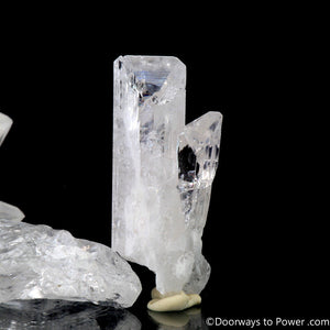 Danburite Synergy 12 Tantric Twin Crystal w/ Rainbows "Higher Octave"