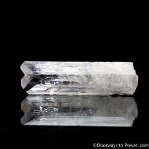 Danburite Synergy 12 Twin Crystal "A Higher Octave"