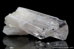 Danburite Synergy 12 Tantric Twin Manifestation Crystal "Angelic Spirit"